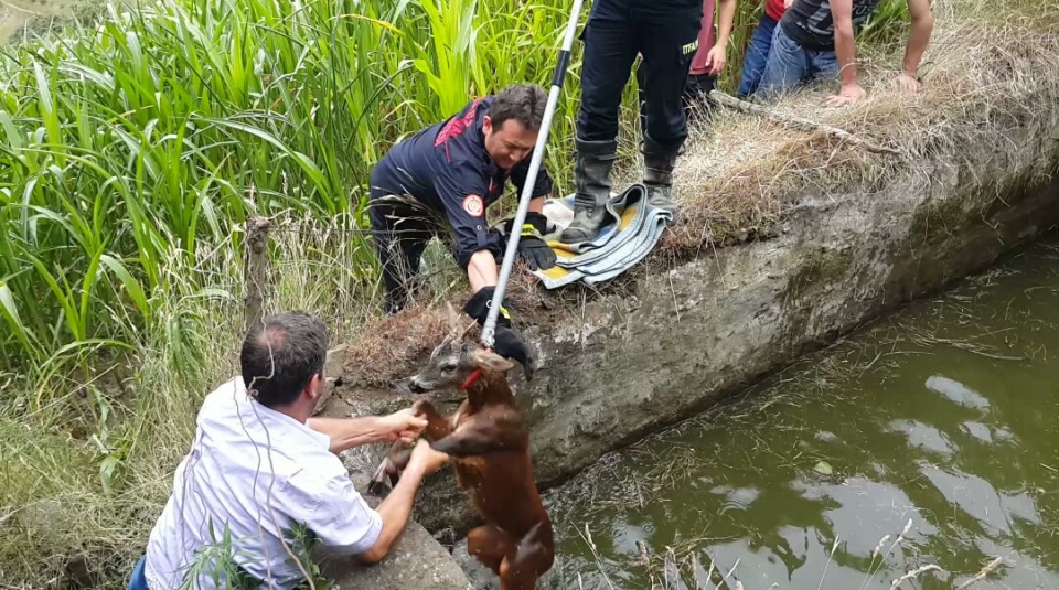 Su Kuyusunu Düşmüştü Kurtarıldı