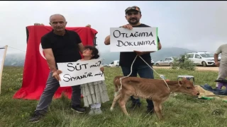Araklı'da Madene Karşı Piknik Eylemi