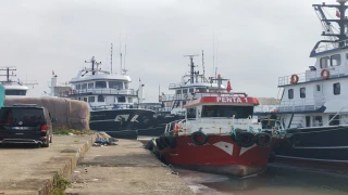 Hamsi Trabzon Araklı'dan Çıktı