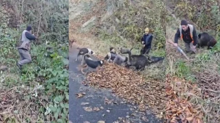 Az Kalsın Hayatını Kaybediyordu