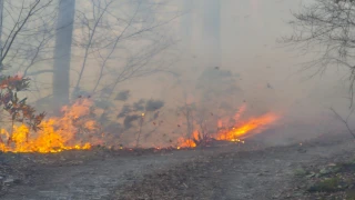Araklı ve Sürmene Köylerinde Başlayan Yangın Saatlerdir Devam Ediyor
