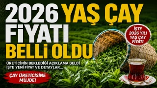 Yaş Çay Fiyatı Belli Oldu