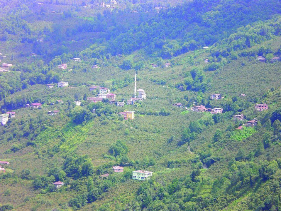 Araklı Resimleri - Resim 7