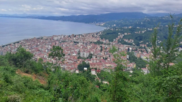 Vatandaş'dan Ayıya Sitem Çayı Demlemissin, Sobayı Yakmıssın Ama Bulaşıkları Yıkamamıssın