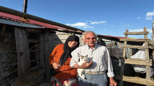 Araklı'da 37 Yıldan Beri Aynı Yaylaya Gidiyor