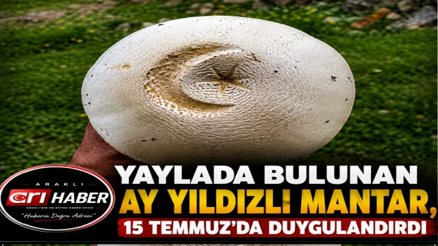 Taşlı Yaylasında Bulunan Ay Yıldızlı Mantar, 15 Temmuz'da Duygulandırdı
