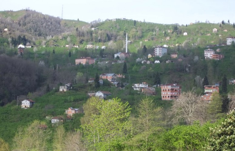 Araklı AHO Ayvadere Mahallesi
