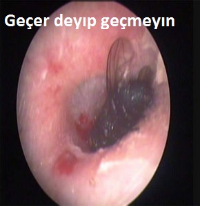 Geçer deyıp geçmeyelım yore ınsanımızın dıkkatıne