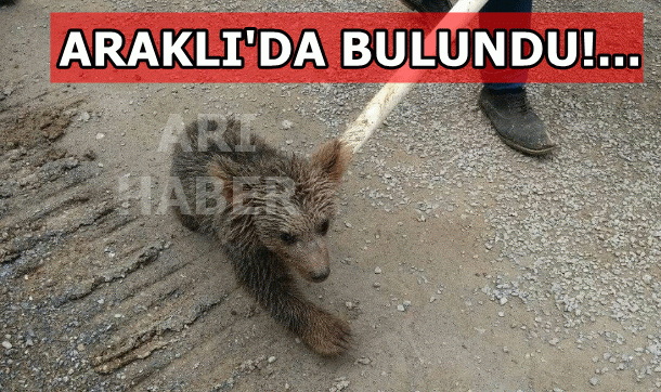 Araklı'da Bulundu