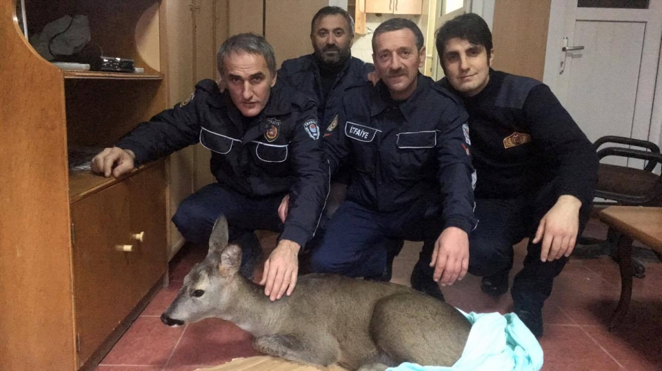 Araklı İtfaiye Ekiplerin'den Örnek Davranış