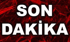 ARAKLI'DA AĞAÇ'IN ALTINDA KALARAK HAYATINI KAYBETTİ