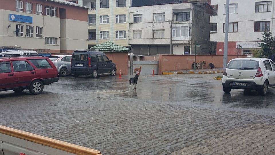 ARAKLI'DA ÇOCUKLARIMIZI OKULA GÖNDERMEYE KORKUYORUZ