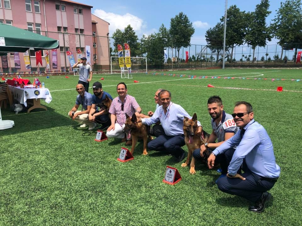  Sadık Dost Köpekler Yarıştı Araklılı'nın Köpeğinden Büyük Başarı