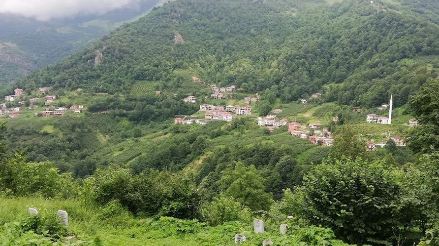 Araklı Çukurçayır Foşa Mahallesi Video Haber