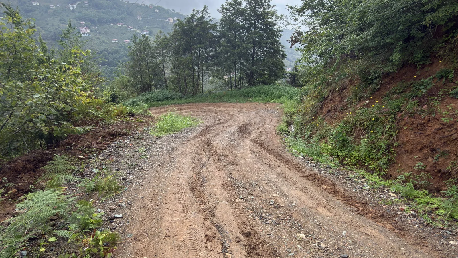 Araklı Değirmencik Mahallesi’nde diyaliz hastasının yol çilesi