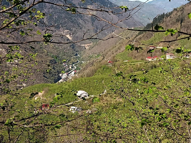 Araklı Köprüüstü Ayven Mahallesi